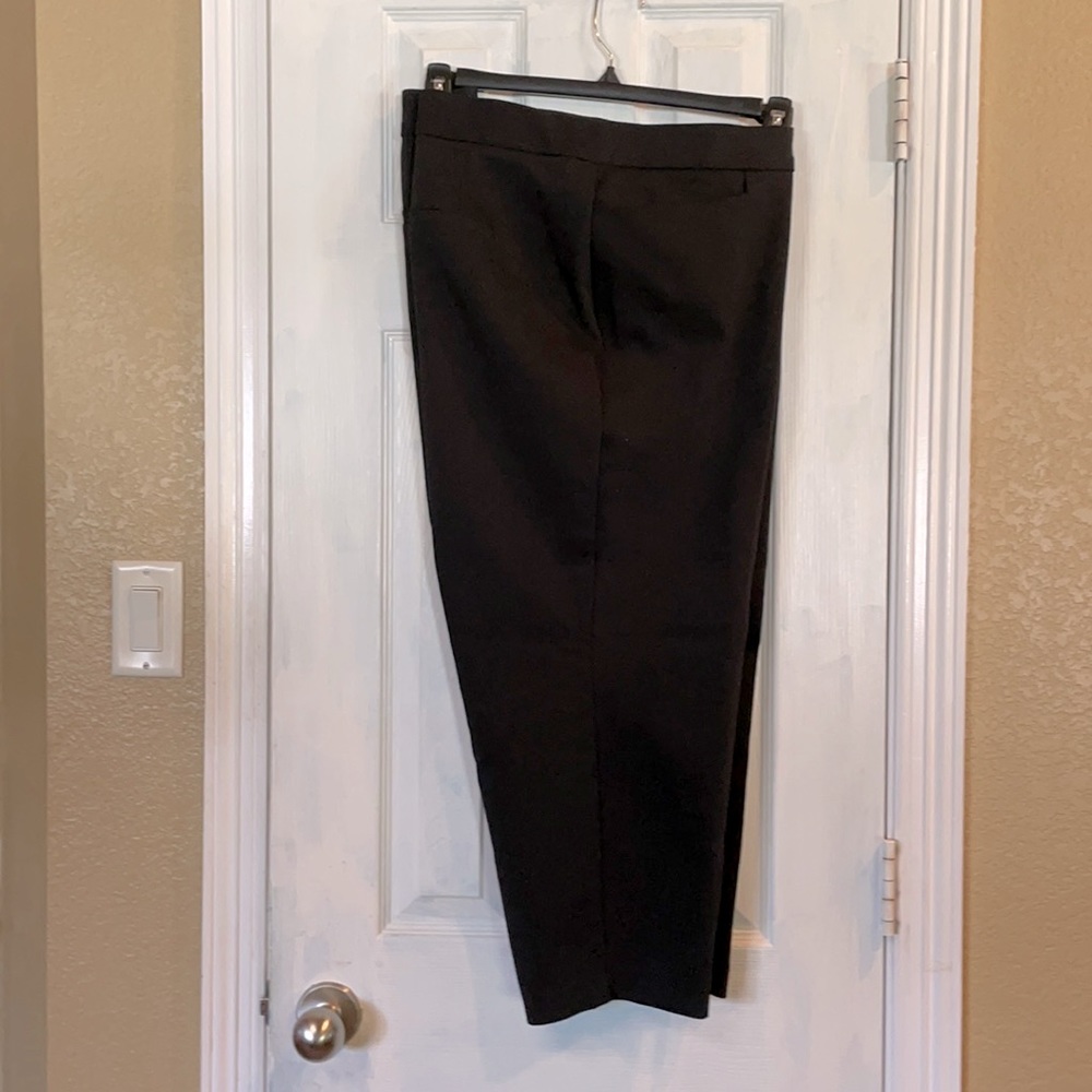Investments II Tailored pant, size 20W